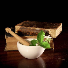 Herbes & alchimie
