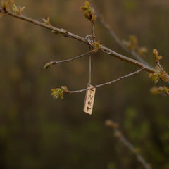 Pendentif porte-bonheur