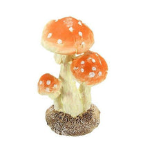 Load image into Gallery viewer, Amanite tue-mouches porte-bonheur - image 1