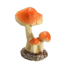 Load image into Gallery viewer, Amanite tue-mouches porte-bonheur - image 3