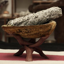 Laden Sie das Bild in den Galerie-Viewer, Sauge blanche officinale - image 4