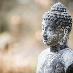 Buddhistischer glücksbringer