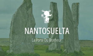 Divinité druidique #13 : Nantosuelta 