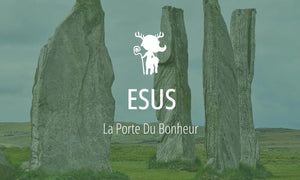 Divinité druidique #8 : Esus 