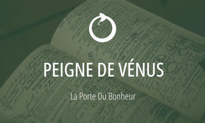 Glossaire Alchimique : Le Peigne de Vénus (Symbole #14)