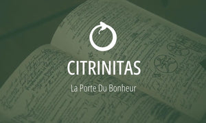 Glossaire de l'alchimie : la Citrinitas (symbole n°2)