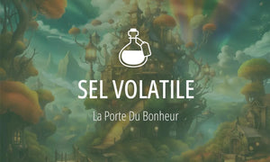 Glossaire de l'alchimie : le sel volatil (substance n°8)