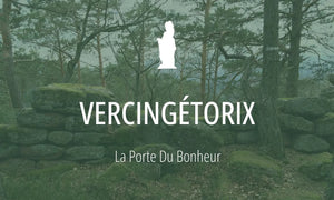 Héros druidique #1 : Vercingétorix 