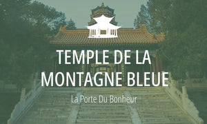 Lieu Sacré Taoïste #13 : Temple de la Montagne Bleue (青城山) 