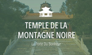 Lieu Sacré Taoïste #16 : Temple de la Montagne Noire (黑虎山) 