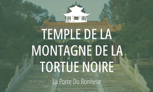 Lieu Sacré Taoïste #18 : Temple de la Montagne de la Tortue Noire (玄武寺) 
