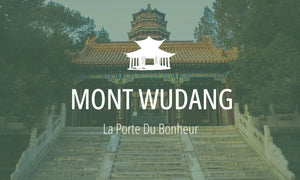 Lieu Sacré Taoïste #2 : Mont Wudang (武当山) 