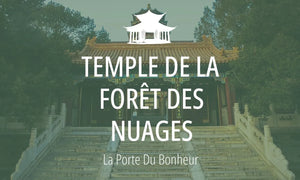 Lieu Sacré Taoïste #9 : Temple de la Forêt des Nuages (云居寺) 