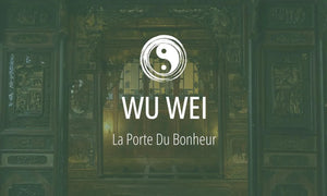 Principe #2 du Taoïsme : le Wu Wei (无为, l'action sans effort) 