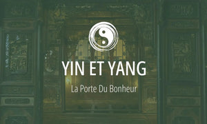 Principe #3 du Taoïsme : le Yin et le Yang (阴阳, la dualité) 