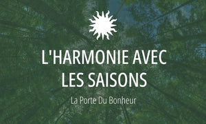 Principe druidique #11 : L'Harmonie avec les Saisons 