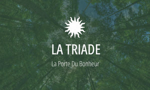 Principe druidique #5 : La Triade 