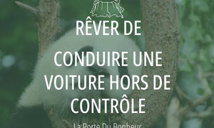Rêver de conduire une voiture hors de contrôle : Signification et Interprétations 