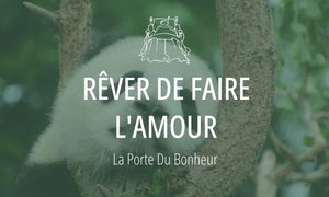 Rêver de faire l'amour : Signification et Interprétations 