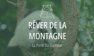 Rêver de la montagne : Signification et Interprétations 