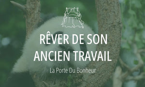 Rêver de son ancien travail : Signification et Interprétations 