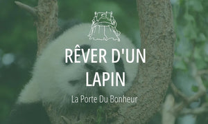 Rêver d'un lapin : Signification et Interprétations 