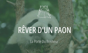 Rêver d'un paon : Signification et Interprétations 