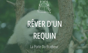 Rêver d'un requin : Signification et Interprétations 