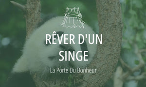 Rêver d'un singe : Signification et Interprétations 