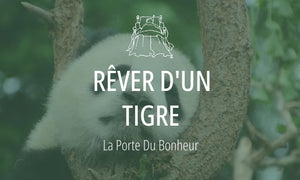 Rêver d'un tigre : Signification et Interprétations 