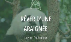 Rêver d'une araignée : Signification et Interprétations 