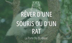 Rêver d'une souris ou d'un rat : Signification et Interprétations 