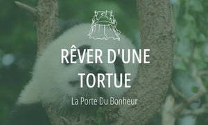 Rêver d'une tortue : Signification et Interprétations 
