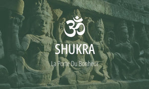 Shukra : Maître des démons, contrôle la planète Vénus 