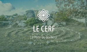 Symbole druidique #13 : Le Cerf 