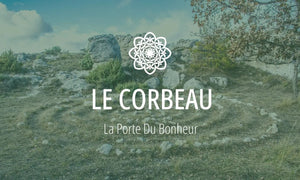 Symbole druidique #7 : Le Corbeau 