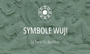 Symbole du Tao #9 : le Symbole Wuji (无极, vide) 