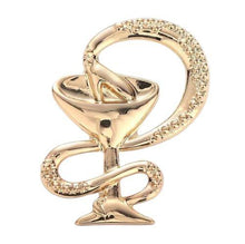 Load image into Gallery viewer, Broche de la coupe d&#39;Hygie - image 1