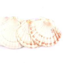 Load image into Gallery viewer, Coquille Saint-Jacques - image 3