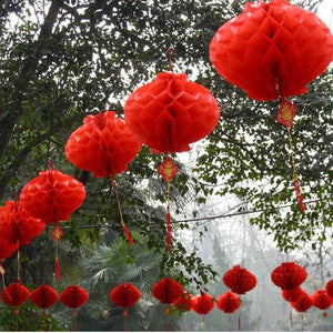 Décoration chinoise pour le festival du printemps - Cyril Gendarme
