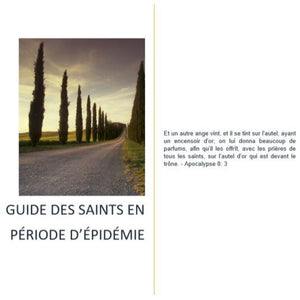 Guide des saints en période d'épidémie - image 2