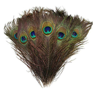 Plumes de paon porte-bonheur - image 1