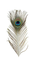 Cargar imagen en el visor de la galería, Plumes de paon porte-bonheur - image 2