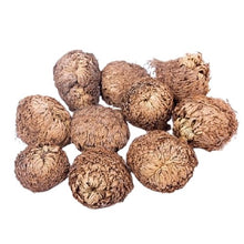 Cargar imagen en el visor de la galería, Rose de Jéricho séchée - image 2