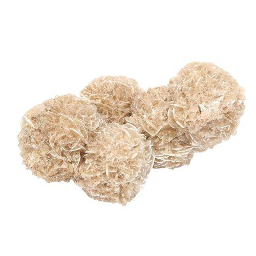 Rose des sables porte-bonheur - image 1