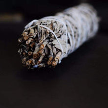 Cargar imagen en el visor de la galería, Sauge blanche officinale - image 3