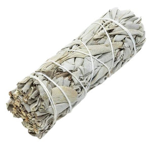 Sauge blanche officinale - image 1